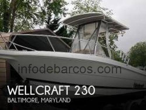 Wellcraft Fisherman 230 ficha técnica y opiniones